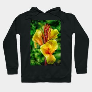 Canna Lily Hoodie